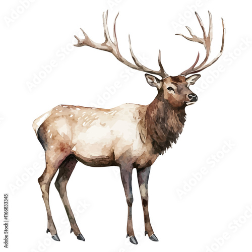 A watercolor vector painting of an elk, isolated on a white background. Elk vector.

