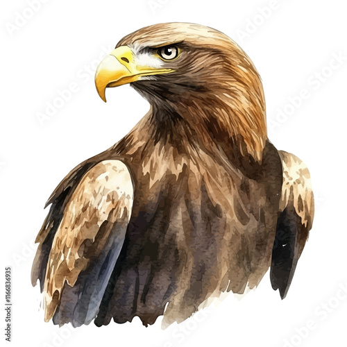 A watercolor vector painting of an eagle, isolated on a white background. Eagle vector.

