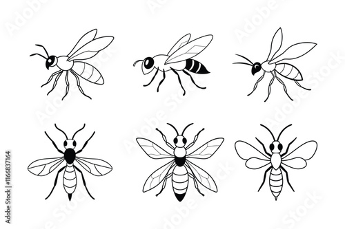 Ensign Wasp (Evaniidae) insect design, labeled line art vector illustration.