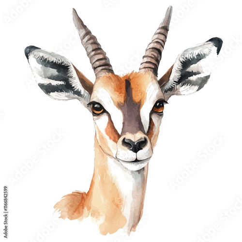 A watercolor vector painting of an antelope, isolated on a white background. Antelope vector.


