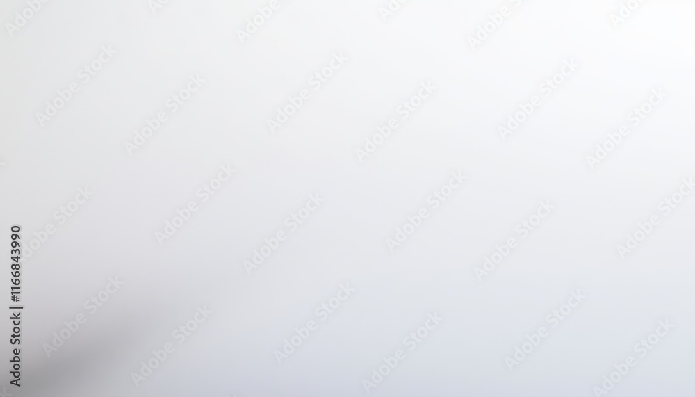 Soft White Gradient Background Subtle Texture Smooth Blank Clean Minimalist Design Abstract Light Soft White Gradient Background Subtle Texture Smooth Blank Clean Minimalist Design Abstract Light