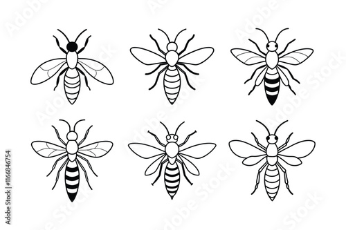 Sand Wasp (Bembicini) insect design, labeled line art vector illustration.