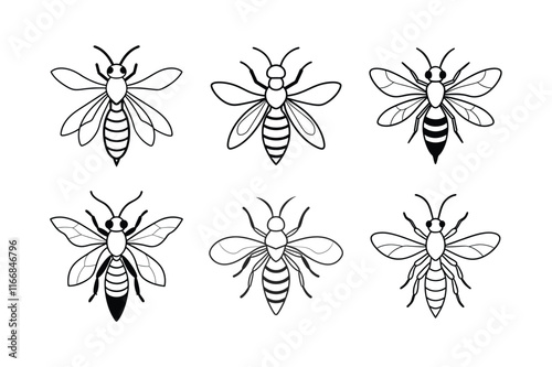 Sand Wasp (Bembicini) insect design, labeled line art vector illustration.