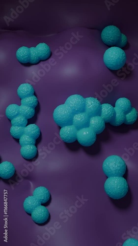 Methicillin-resistant Staphylococcus aureus (MRSA) bacteria photo