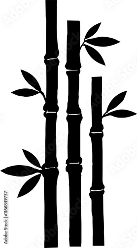 bamboo isolated on white