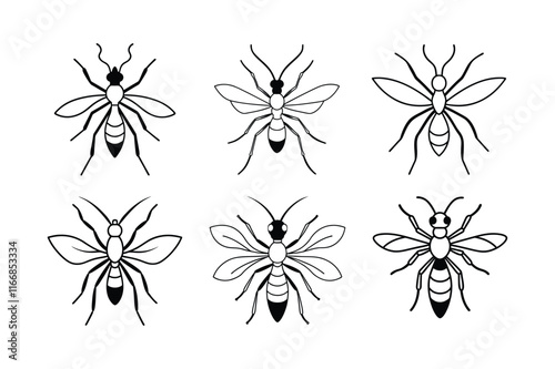 Spider Wasp (Pompilidae) insect design, labeled line art vector illustration.