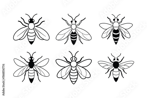 Cicada Killer Wasp (Sphecius speciosus) insect design, labeled line art vector illustration.