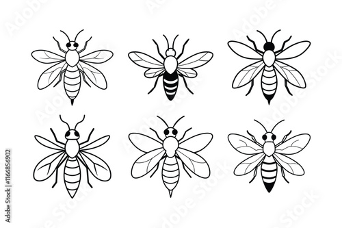 Cicada Killer Wasp (Sphecius speciosus) insect design, labeled line art vector illustration.