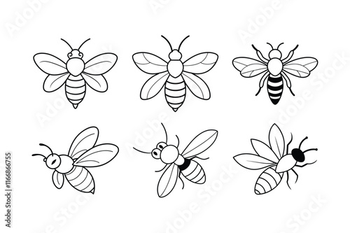 Leafcutter Bee (Megachilidae) insect design, labeled line art vector illustration.