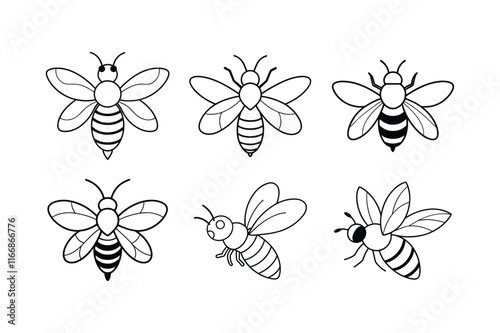 Leafcutter Bee (Megachilidae) insect design, labeled line art vector illustration.