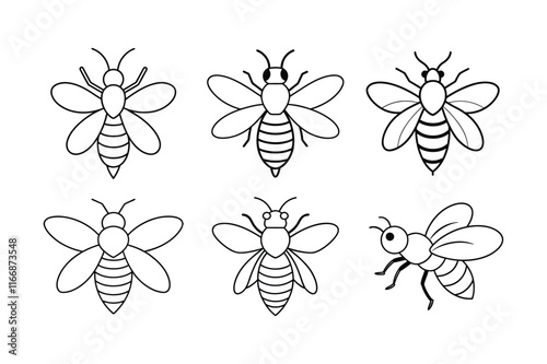 Mason Bee (Osmia) insect design, labeled line art vector illustration.