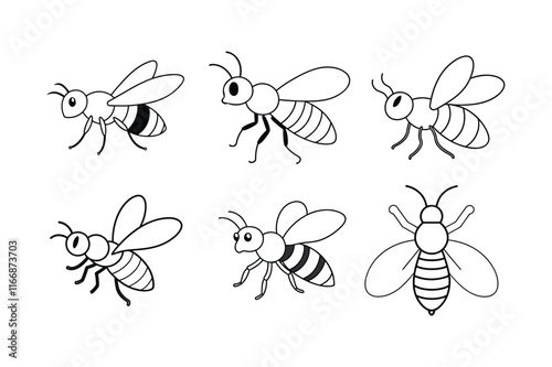 Mason Bee (Osmia) insect design, labeled line art vector illustration.
