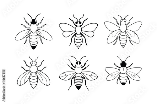 Mining Bee (Andrenidae) insect design, labeled line art vector illustration.