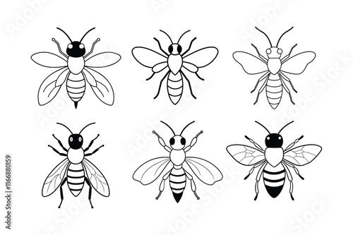 Sweat Bee (Halictidae) insect design, labeled line art vector illustration.