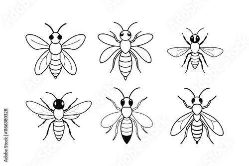 Sweat Bee (Halictidae) insect design, labeled line art vector illustration.