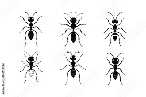 Fire Ant (Solenopsis) insect design, labeled line art vector illustration.