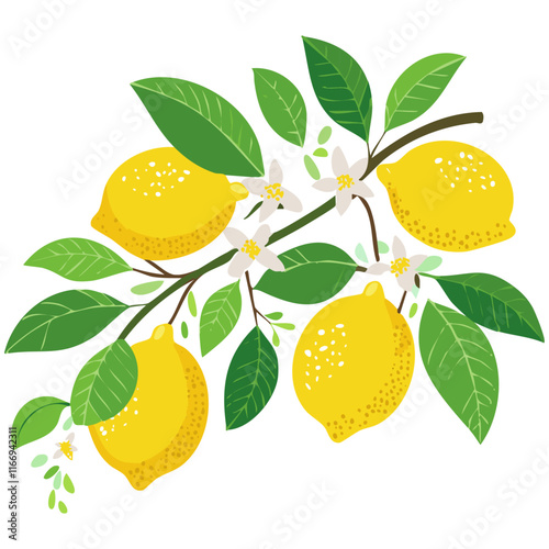 Lemons on a branch vector illustration flat. Image of a branch with yellow citrus fruits and leaves. For packaging and design.