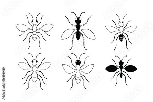 Leafcutter Ant (Attini) insect design, labeled line art vector illustration.