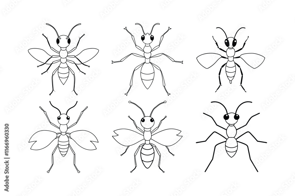 Obraz premium Leafcutter Ant (Attini) insect design, labeled line art vector illustration.