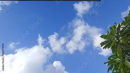 Natural organic video frame made by branches of tree with fresh green spring leaves isolated on clear sunny blue sky with running huge white clouds. Tree and clouds blown by wind photo