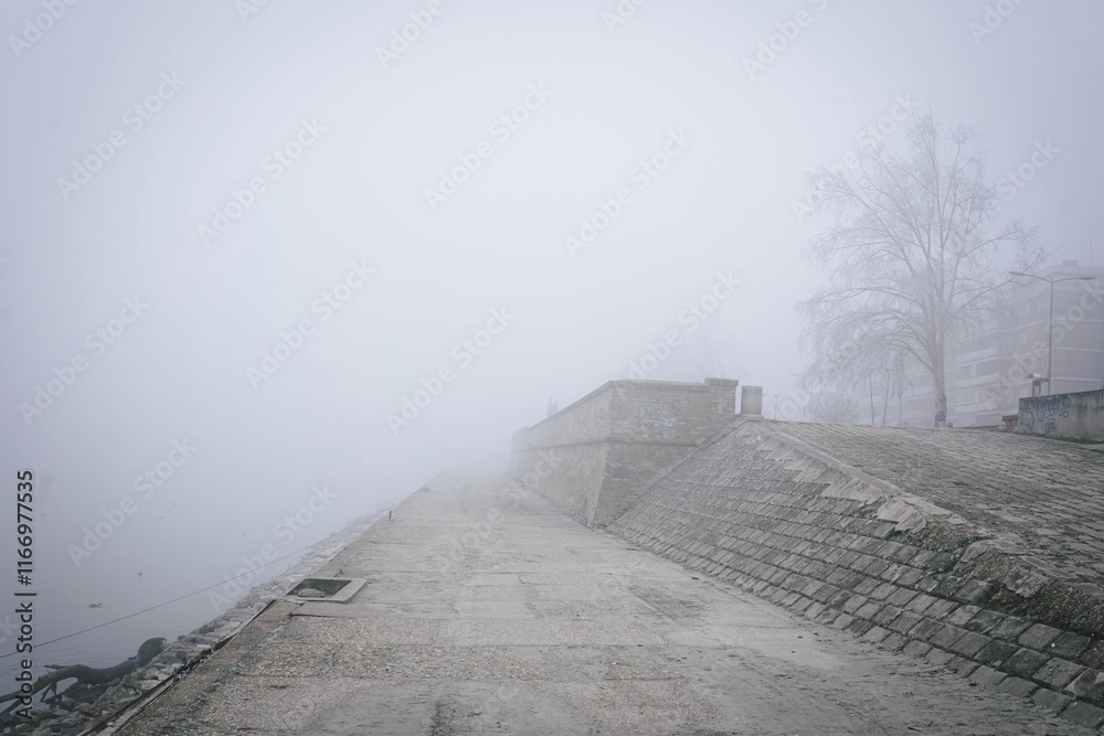 Foggy morning on the coast of Danube Novi Sad Serbia