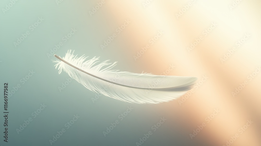 Fototapeta premium Delicate white feather floating gracefully against a soft, blurred background showcasing natural light effects
