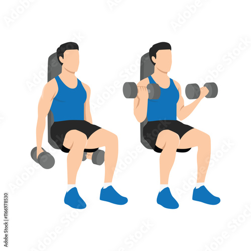 Man doing seated both arms dumbbell bicep curls exercise. Flat vector illustration isolated on white background