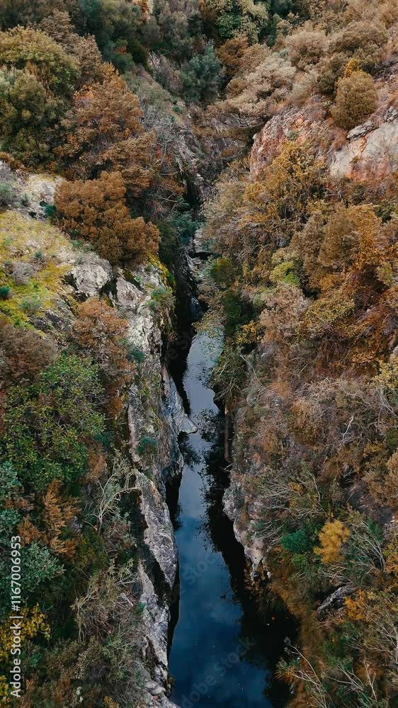 An aerial shot capturing a narrow, rocky canyon with a serene water stream reflecting the autumnal colors of the surrounding lush vegetation in Guadalmina, Andalusia An aerial shot capturing a narrow, rocky canyon with a serene water stream reflecting the autumnal colors of the surrounding lush vegetation in Guadalmina, Andalusia