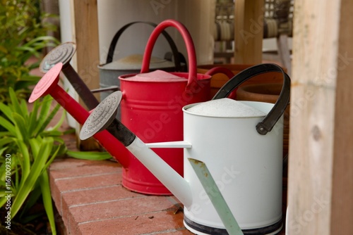 gardening tools and watering can photo