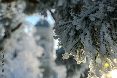 Ein sonniger Neujahrstag auf dem Bogenberg photo