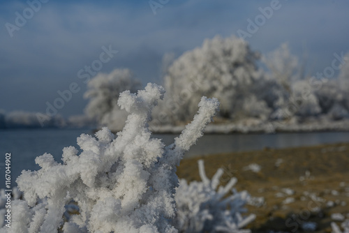 Ein frostiger Neujahrstag an der niederbayerischen Donau photo