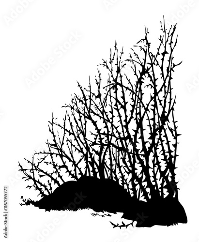 Vector drawing. The thorn bushes