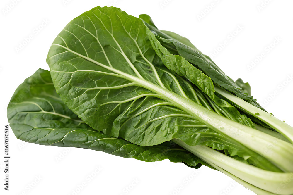 a close up of a green leafy vegetable isolated on white background PNG.AI GENERATED
