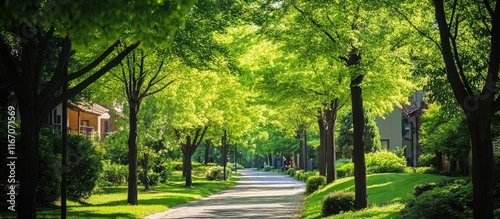 Vibrant neighborhood lined with lush green trees enhancing air quality and beauty of charming houses in a serene residential street scene photo