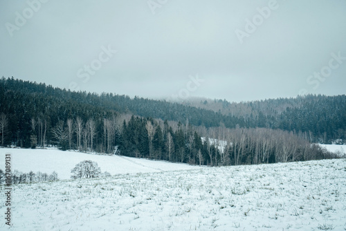 Wanderung zum Winterwald photo