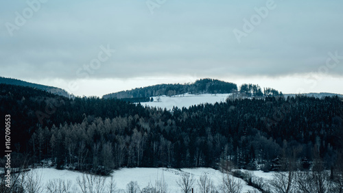 Kühle Winterlandschaft