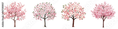 Wallpaper Mural Blooming Pink Cherry Blossom Trees in Spring Nature Scenery Torontodigital.ca