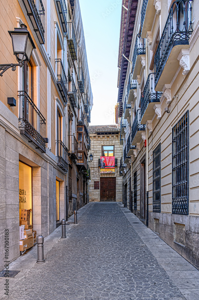 Fototapeta premium Building facade in the old town, Granada, Spain