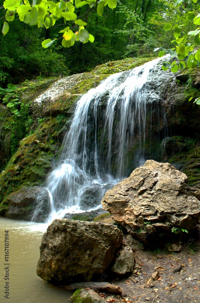 Fototapeta premium waterfall in the forest