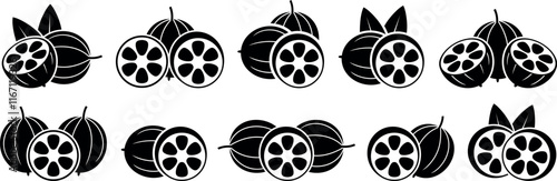 Monk fruit logo.  Isolated Monk fruit on white background