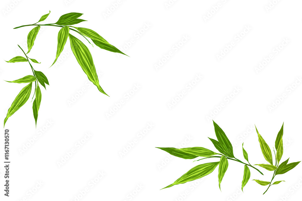 Obraz premium bamboo leaves isolated on white