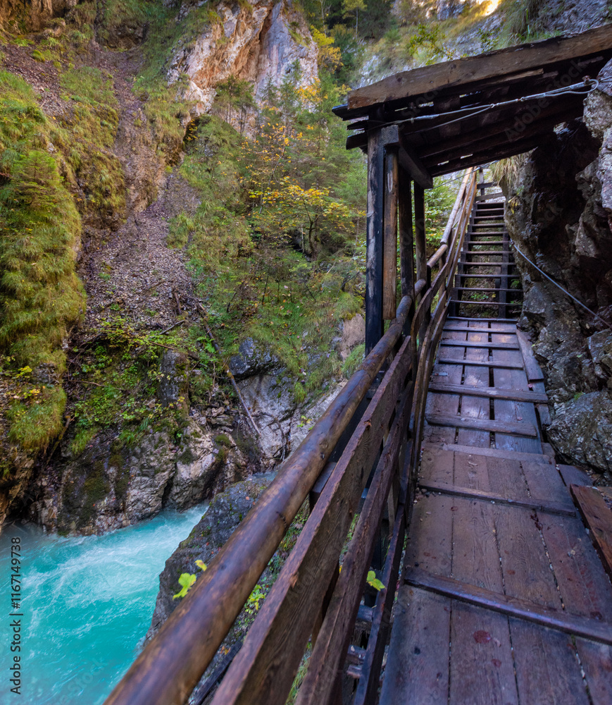 Fototapeta premium Dramatic Alpine Gorge: Hiking the Wolfsklamm