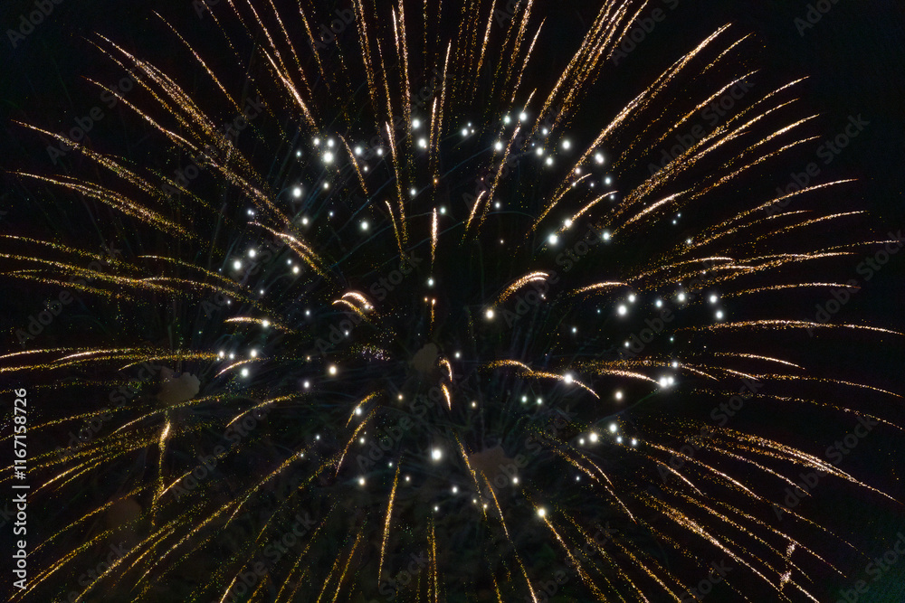 Obraz premium A dazzling display of golden fireworks bursts with star-like patterns, accompanied by soft blue specks of light against a dark sky. A magical and festive scene.