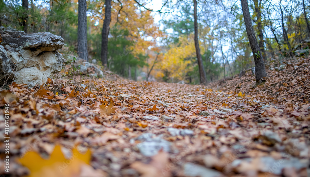 Digital Art of a Misty Autumn Forest Path
Digital Art of a Misty Autumn Forest Path