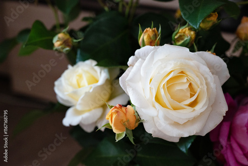 Fototapeta Naklejka Na Ścianę i Meble -  White and yellow roses in a floral arrangement showcasing fresh blooms on a wooden surface in soft natural light