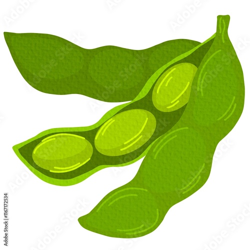 Raw soy, soybeans pods isolated vector set. Green fresh bean husk with seeds and leaves, soya natural vegetable plant. Vector healthy food cartoon illustration soybeans On white background.