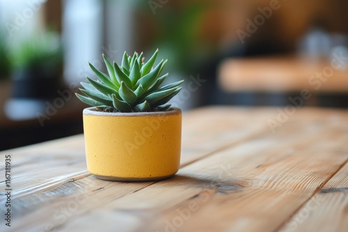 Small succulent plant on a wooden table in a cozy cafe setting filled with na...