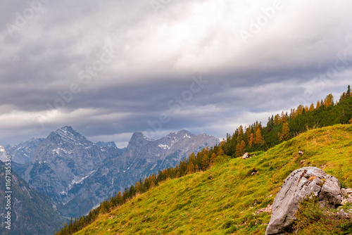 Bright Alpine Meadow Contrasting with Rough Limestone Cliffs in the Rofan Mountains, Austria