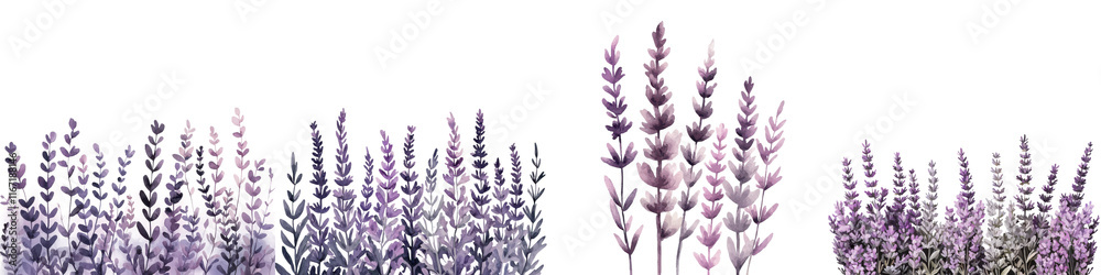 Blooming purple lavender flowers in a scenic meadow landscape with a tranquil peaceful and natural atmosphere Blooming purple lavender flowers in a scenic meadow landscape with a tranquil peaceful and natural atmosphere