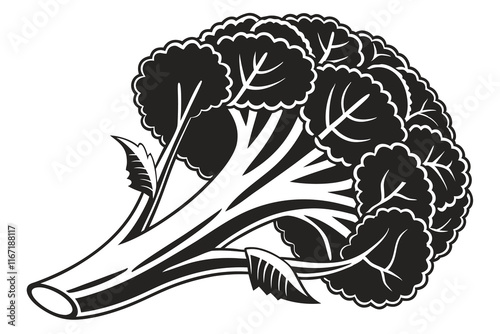 a black silhouette image cauliflower vector illustration white background A.eps